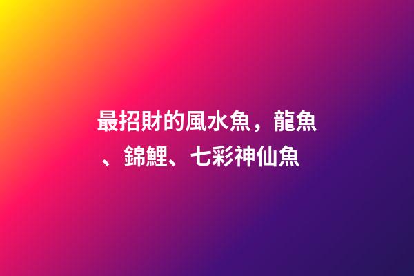 最招財的風水魚，龍魚、錦鯉、七彩神仙魚